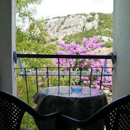 Apartment Dragovic Клек Экстерьер фото